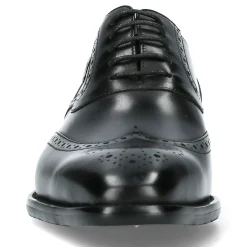 Clearance Chaussure Homme ALOYS 03 Homme Homme