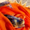 Hot Foulard Phena Foulards & Écharpes